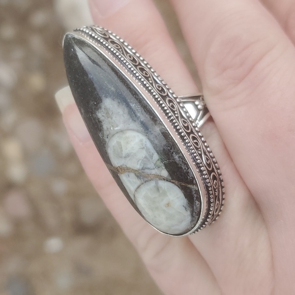 New Oversized Orthoceras Fossil Antique Design 925 Silver Statement Ring. - Picture 3 of 11